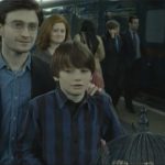 Radcliffe, Watson i Grint powrócą do filmowego świata „Harry’ego Pottera”? J.K. Rowling dementuje