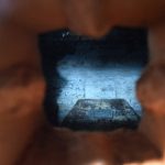 Trumna ze szczątkami Samuela Taylora Coleridge’a odnaleziona w dawnej piwnicy na wino