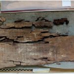 W Egipcie odkryto zapis „Księgi Dwóch Dróg” sprzed 4000 lat. Czy to najstarsza ilustrowana książka na świecie?