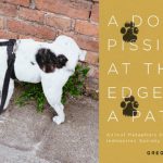 „Pies sikający na skraju ścieżki” z nagrodą dla Najdziwniejszego Tytułu Książki Roku