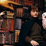 Książki o Harrym Potterze przyczyniły się do ochrony sów?