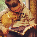 W USA dzieci czytają bezdomnym kotom w schronisku