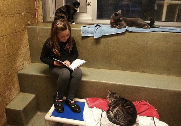 dzieci-czytaja-kotom-2