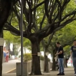 Drzewa w kolumbijskim mieście Medellín oferują czytelnikom darmowe ebooki