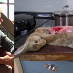 Jeanette Winterson zabiła, obdarła ze skóry i ugotowała królika. Część fanów oburzona