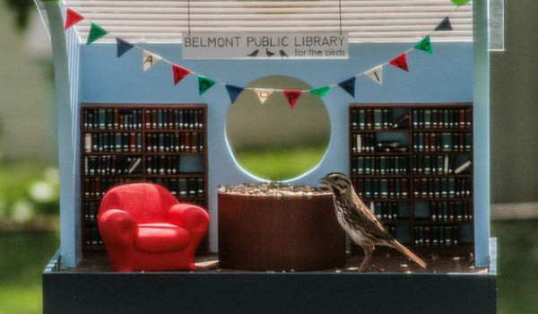 biblioteka-dla-ptakow-1