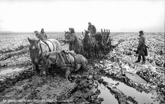 Rosja: Konie niemieckich żołnierzy pogrążone w błocie. Marzec, 1942