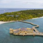 Tysiące chętnych do objęcia stanowiska księgarza w luksusowym kurorcie na Malediwach
