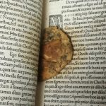 Bibliotekarka znalazła między stronami XVI-wiecznej księgi ponad 50-letnie ciastko