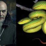 Nowy gatunek węża nazwany na cześć Salazara Slytherina z serii książek o Harrym Potterze
