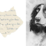 Fragment oryginalnego rękopisu „Myszy i ludzi” rozszarpanego przez psa Johna Steinbecka trafi na aukcję